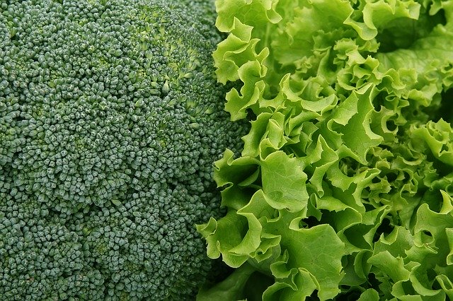 salát a brokolice
